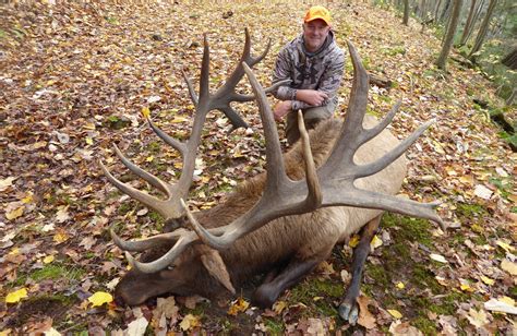 The Details Behind Pas New Record 455 Inch Bull Elk Field And Stream