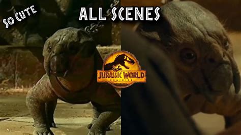All Lystrosaurus Scenes Jurassic World Dominion Jurassicworld Youtube