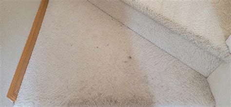 Professional furniture and upholstery cleaning in loveland, co and the surrounding areas. Carpet Cleaning Loveland & Greeley, CO | Ace Chem-Dry