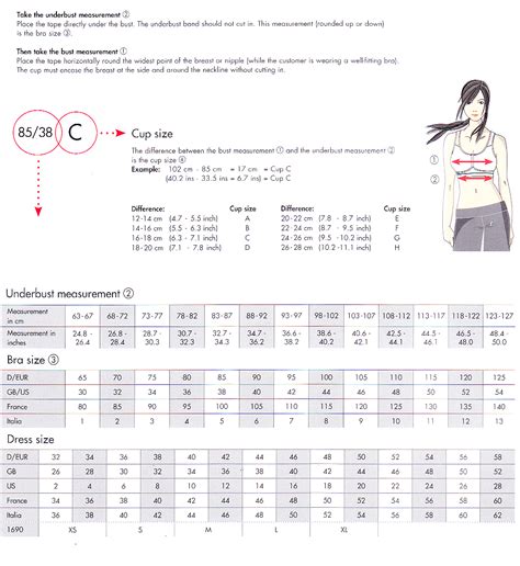 Lose Weight In A Month Bra Measurements Uk