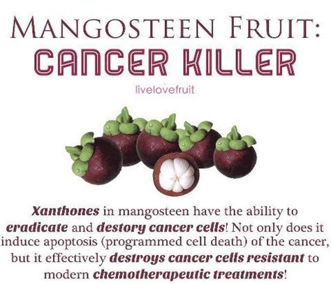 So, if you limit the carbohydrates that turn into glucose you can prevent the cancer cells from growing. 27 best Fuck Cancer images on Pinterest