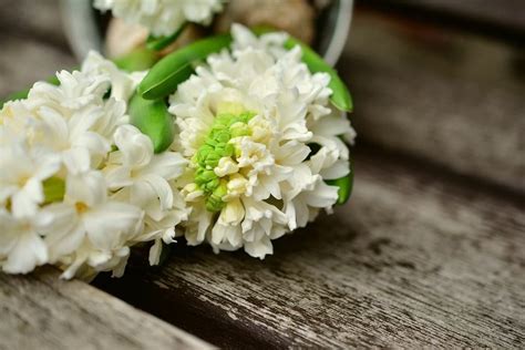45 Types Of White Flowers With Pictures Flower Glossary Types Of