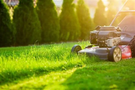 What Is Lawn Care Maintenance