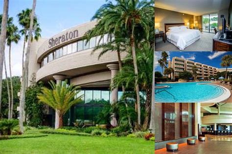 Sheraton Tampa Brandon Tampa Fl 10221 Princess Palm 33610