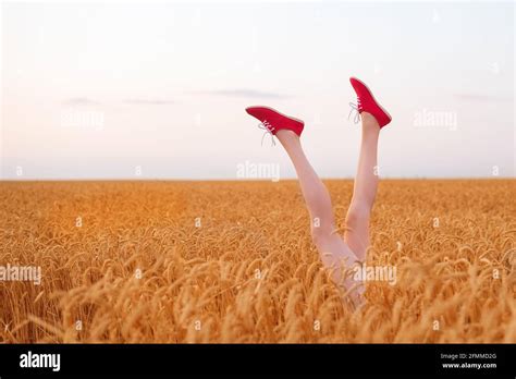 Slender Female Legs In Red Shoes Sticking Out Of Wheat Field Gluten Free Concept Stock Photo