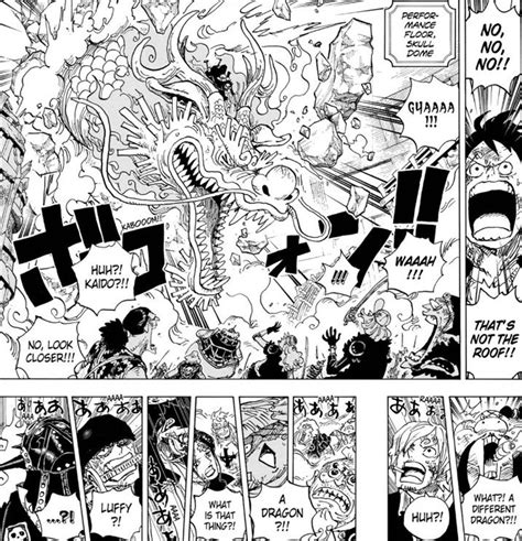 One Piece Luffy Momonosuke Return To Face Kaido