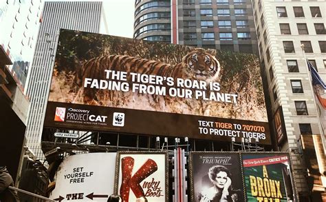 Lincoln project depicts coronavirus death toll. Project Cat Times Square Billboard | Nathan Gamson
