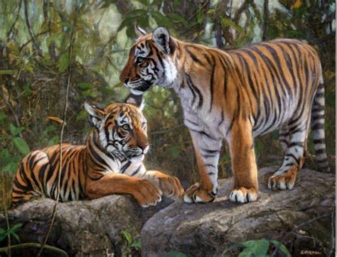 Cuadros Modernos Cuadros Bonitos Con Tigres