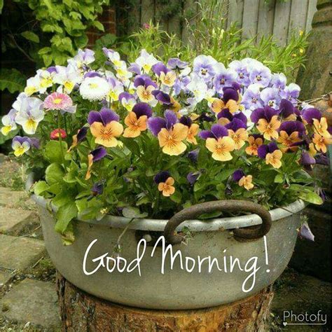 Good Morning Container Gardening Flowers Garden Containers Container