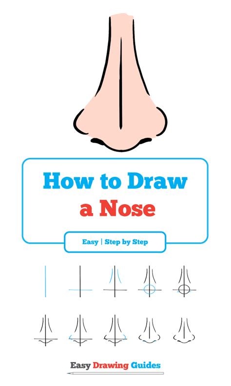 Step By Step How To Draw A Nose At Drawing Tutorials