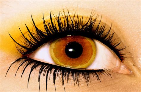 Orange Eyes Photos Of Eyes Orange Art Eye Art
