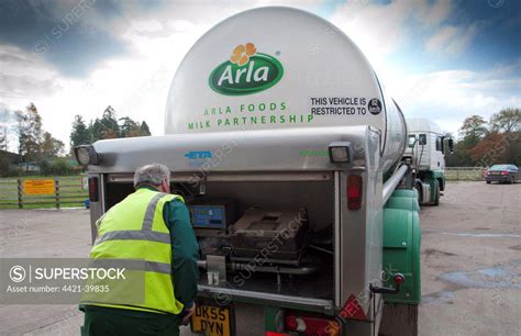 Arla Milk Tanker Loading Milk At Dairy Farm Man With Milk Samples