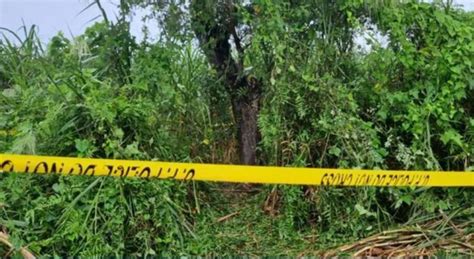 Rogol Remaja Gantung Mayat Mangsa Di Pokok — Mykmu