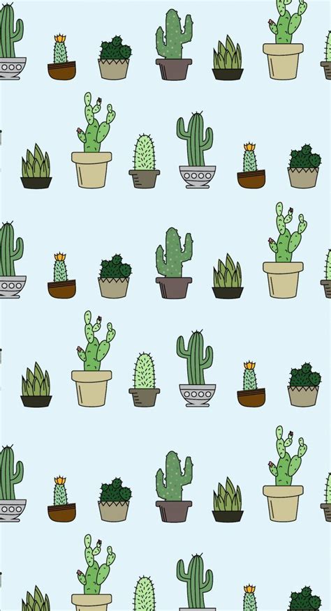 Cartoon Cactus Wallpapers Top Free Cartoon Cactus Backgrounds
