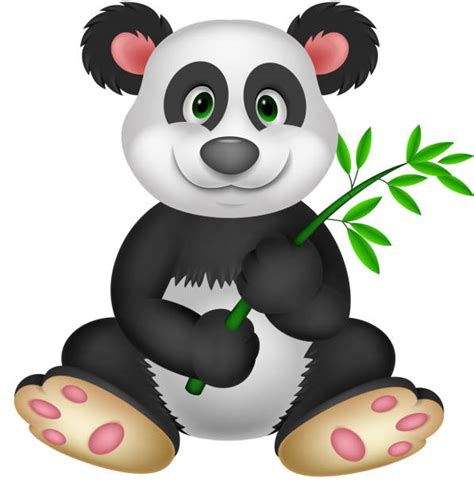 Panda Bear Eating Bamboo Stock Vectors Istock