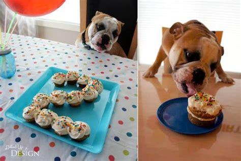 A cake is often the pièce de résistance, the center piece for a celebration but what if you're looking for a healhy dog cake recipe or even a grain free dog also, if you're inviting other dogs to your party, be sure to ask in advance if they have a grain sensitivity. Puppy Cake Recipe Idea - Moms & Munchkins