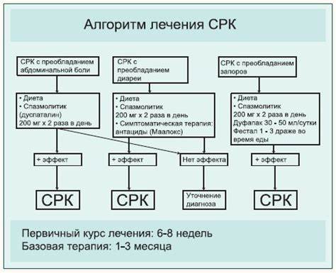 Синдром раздраженной кишки лечение диета Синдром раздраженного кишечника: симптомы и лечение, диета при синдроме Синдром раздраженного кишечника: симптомы и лечение, диета при синдроме Синдром раздраженной кишки лечение диета