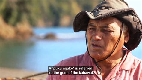 Traditional Maori Methods Of Fishing Now Fish