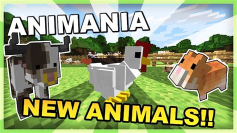 Animania Mod 1122 Como Instalar Mods No Minecraft Os Melhores