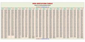 Dog Gestation Calculator Pregnancy Chart Printable Gestation Periods
