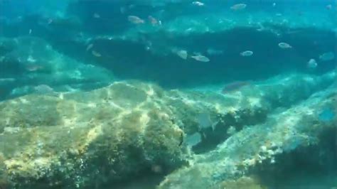 Submarinismo En La Costa Brava Playa De Sa Boadella Youtube
