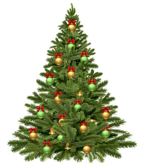 Over 200 angles available for each 3d object, rotate and download. Free illustration: Christmas Tree, Holidays, Christmas ...