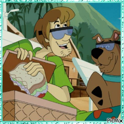 Shaggy Scooby Doo Free Animated  Picmix
