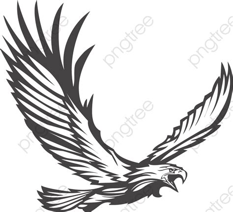 Eagles Fly Fly Vector Eagle Soaring Fly High Png Transparent Clipart