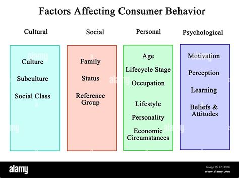 Dieciséis Factores Que Afectan El Comportamiento Del Consumidor