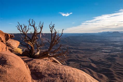 Canyonlands National Park — The Greatest American Road Trip