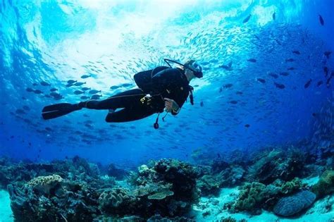 An Ultimate Guide To Experience Scuba Diving In New Jersey