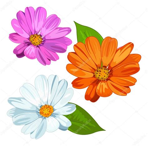 Several Daisy Flowers Stock Vector Image By ©dazdraperma 97385028