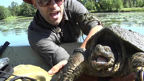 'Breaking Trail' host Coyote Peterson catches snapping turtle - YouTube