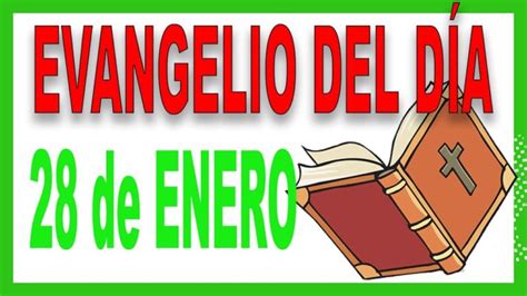 Evangelio Del Día 28 De Enero Con El Padre Guillermo Serra