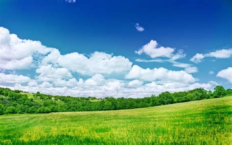 Greens Meadow Trees Clouds Colors Wallpaper Coolwallpapersme
