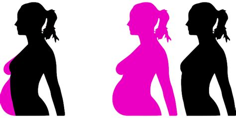 Pregnancy Pregnant Motherhood Free Vector Graphic On Pixabay