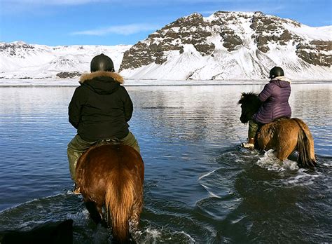 Private Horse Riding Tours In Iceland Iceland Luxury Tours