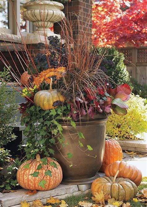 Pin By Gail Taylor Colvin On Autumn Fall Container Gardens Fall
