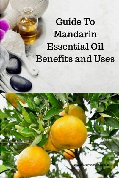 Mandarin Essential Oil Benefits And Uses In Aromatherapy