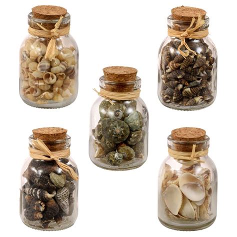 Ns Productsocialmetatags Resources Opengraphtitle Glass Jars Jar Sea Shells