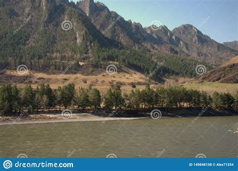 The Swift Katun River Carries Its Turquoise Waters Along The Foot Of