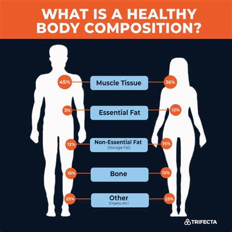 what is body composition and 5 ways to measure it