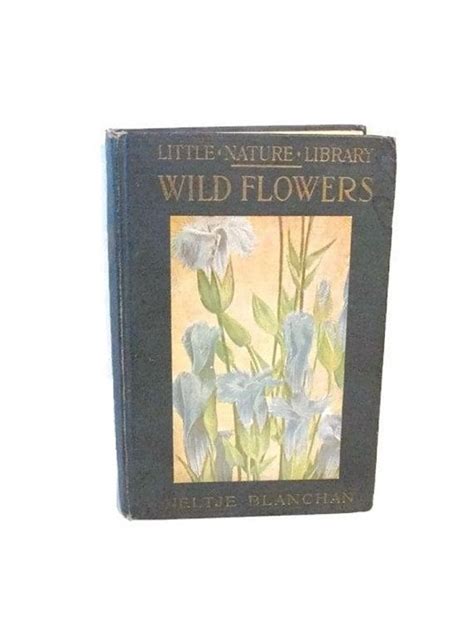 Wild Flowers Worth Knowing Guide To Wildflowers Little Nature