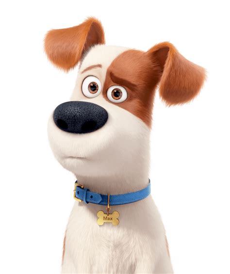 What Kind Of Dog Is Max From The Secret Life Of Pets Facts