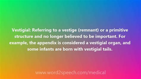 Vestigial Medical Definition And Pronunciation Youtube