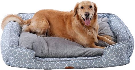 Best Bolster Dog Beds For Extra Comfort Great Pet Care