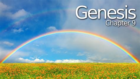 Genesis 9 Verse By Verse