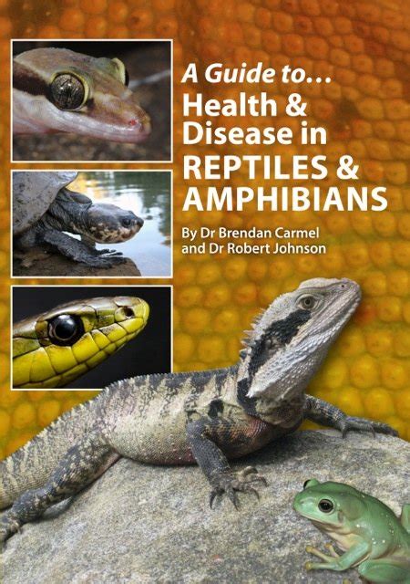 A Guide To Health And Disease In Reptiles And Amphibians Geckodan