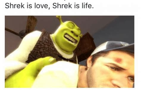 shrek is love shrek is life meme and best funny quotes fun quotes funny funny quotes memes