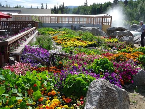 56.5 chena hot springs rd, fairbanks, alaska, united states, ak 99712. Chena Hot Springs Resort - Fairbanks